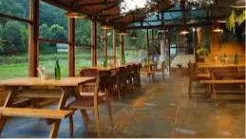 Cafe Magic Forest